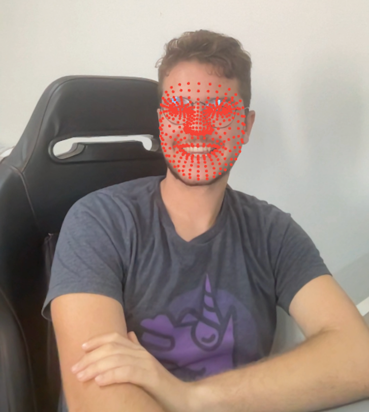 Features detected with the MediaPipe FaceMesh model